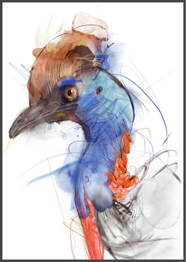 Artistic illustration of a colourful bird